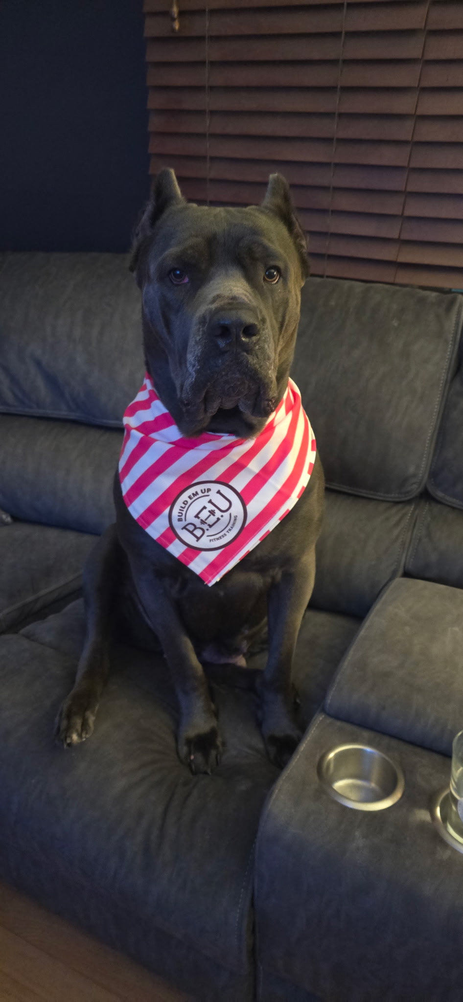 Pink Stripe Bandana